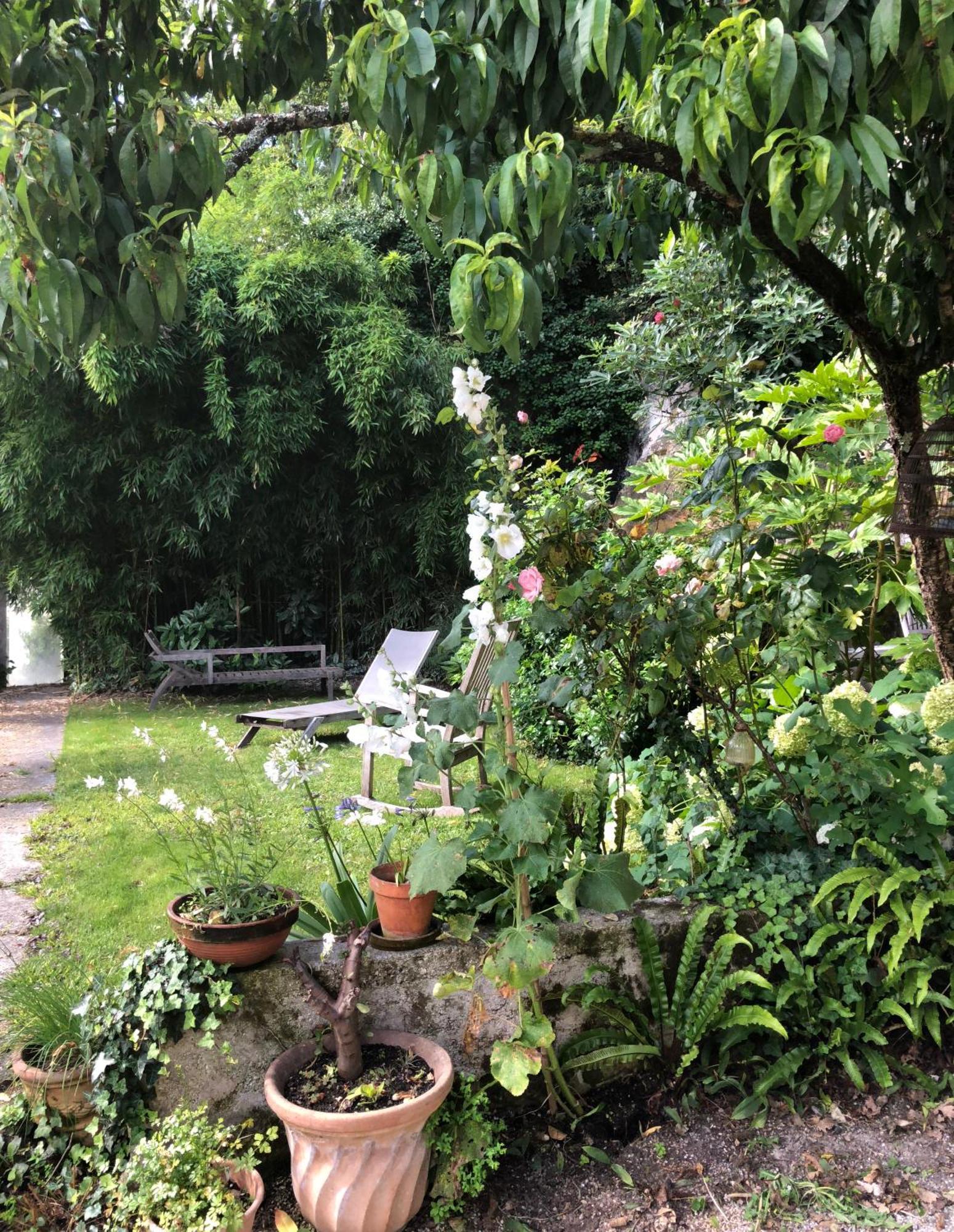 L'Heure Bleue Bed & Breakfast Сент Екстериор снимка
